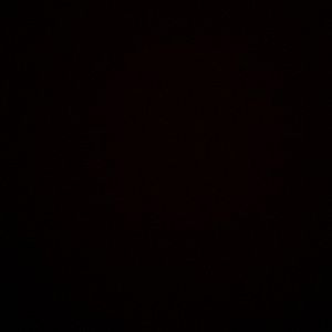 Meet your Posher, Cheyenne